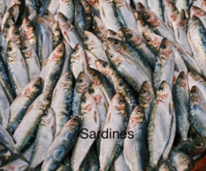 SARDINES
