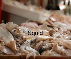 FROZEN FRESH & DRIED SQUID