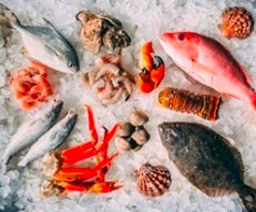 OTHER VIETNAM SEAFOOD